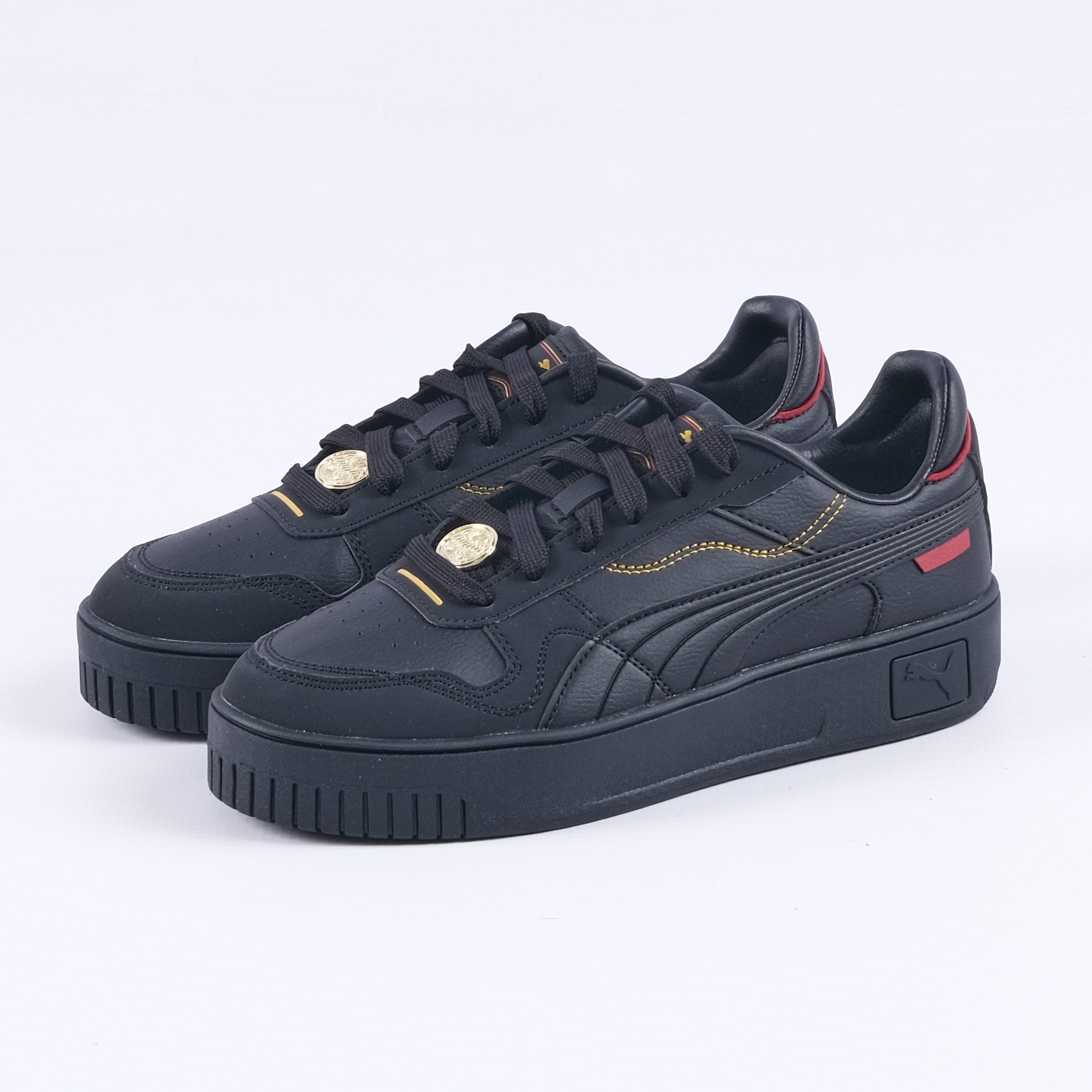 puma puma
