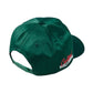 Dex Cap (Green)